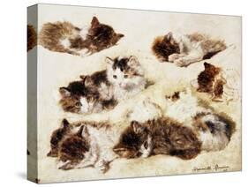 A Study of Kittens-Henriette Ronner-Knip-Stretched Canvas