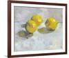 A Study of Lemons-Steven Johnson-Framed Giclee Print