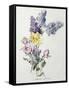 A Study of Lilac and Roses-Madeleine Lemaire-Framed Stretched Canvas