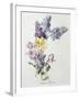 A Study of Lilac and Roses-Madeleine Lemaire-Framed Photographic Print