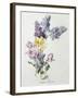 A Study of Lilac and Roses-Madeleine Lemaire-Framed Photographic Print