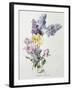 A Study of Lilac and Roses-Madeleine Lemaire-Framed Photographic Print