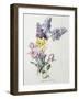 A Study of Lilac and Roses-Madeleine Lemaire-Framed Photographic Print