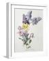 A Study of Lilac and Roses-Madeleine Lemaire-Framed Photographic Print