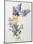 A Study of Lilac and Roses-Madeleine Lemaire-Mounted Photographic Print