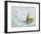 A Study of Pears-Steven Johnson-Framed Giclee Print