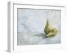 A Study of Pears-Steven Johnson-Framed Giclee Print