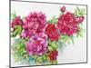 A Study of Red Peonies-Joanne Porter-Mounted Giclee Print