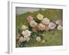 A Study of Roses-Luigi Rossi-Framed Giclee Print