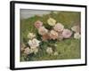 A Study of Roses-Luigi Rossi-Framed Giclee Print