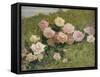 A Study of Roses-Luigi Rossi-Framed Stretched Canvas