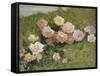 A Study of Roses-Luigi Rossi-Framed Stretched Canvas