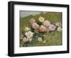 A Study of Roses-Luigi Rossi-Framed Giclee Print