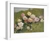 A Study of Roses-Luigi Rossi-Framed Giclee Print