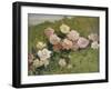 A Study of Roses-Luigi Rossi-Framed Giclee Print