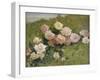 A Study of Roses-Luigi Rossi-Framed Giclee Print