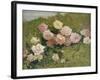 A Study of Roses-Luigi Rossi-Framed Giclee Print