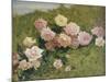 A Study of Roses-Luigi Rossi-Mounted Giclee Print