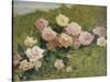 A Study of Roses-Luigi Rossi-Stretched Canvas