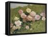 A Study of Roses-Luigi Rossi-Framed Stretched Canvas