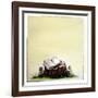 A Stump with Flowers Surrounding it with an Open Book on Top-Wendy Edelson-Framed Giclee Print