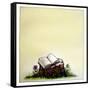 A Stump with Flowers Surrounding it with an Open Book on Top-Wendy Edelson-Framed Stretched Canvas