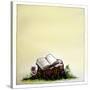 A Stump with Flowers Surrounding it with an Open Book on Top-Wendy Edelson-Stretched Canvas