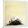 A Stump with Flowers Surrounding it with an Open Book on Top-Wendy Edelson-Mounted Giclee Print