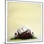 A Stump with Flowers Surrounding it with an Open Book on Top-Wendy Edelson-Mounted Giclee Print