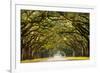 A Stunning, Long Path Lined with Ancient Live Oak Trees Draped in Spanish Moss in the Warm, Late Af-Serge Skiba-Framed Photographic Print