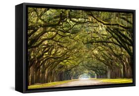 A Stunning, Long Path Lined with Ancient Live Oak Trees Draped in Spanish Moss in the Warm, Late Af-Serge Skiba-Framed Stretched Canvas