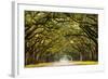 A Stunning, Long Path Lined with Ancient Live Oak Trees Draped in Spanish Moss in the Warm, Late Af-Serge Skiba-Framed Photographic Print