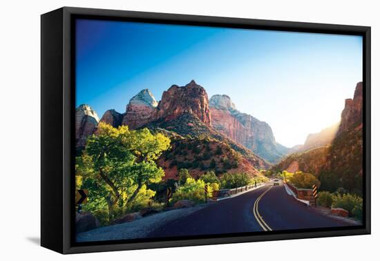 A Stunning View of Zion Canyon-dellm60-Framed Stretched Canvas