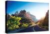 A Stunning View of Zion Canyon-dellm60-Stretched Canvas