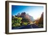 A Stunning View of Zion Canyon-dellm60-Framed Photographic Print
