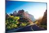 A Stunning View of Zion Canyon-dellm60-Mounted Photographic Print