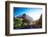 A Stunning View of Zion Canyon-dellm60-Framed Photographic Print