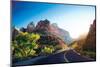 A Stunning View of Zion Canyon-dellm60-Mounted Photographic Print