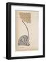 A Stylized, Art Nouveau Depiction of a Flower - Possibly a Dandelion-null-Framed Photographic Print