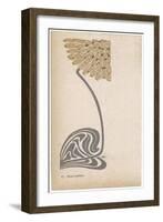 A Stylized, Art Nouveau Depiction of a Flower - Possibly a Dandelion-null-Framed Photographic Print