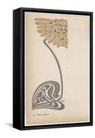 A Stylized, Art Nouveau Depiction of a Flower - Possibly a Dandelion-null-Framed Stretched Canvas