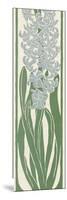 A Stylized, Art Nouveau Depiction of a Hyacinth Within a Rectangular Border-null-Mounted Photographic Print