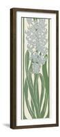 A Stylized, Art Nouveau Depiction of a Hyacinth Within a Rectangular Border-null-Framed Photographic Print