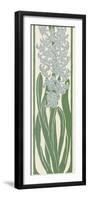 A Stylized, Art Nouveau Depiction of a Hyacinth Within a Rectangular Border-null-Framed Photographic Print