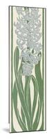 A Stylized, Art Nouveau Depiction of a Hyacinth Within a Rectangular Border-null-Mounted Photographic Print