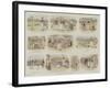 A Suburban Butterfly Hunt-null-Framed Giclee Print
