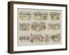 A Suburban Butterfly Hunt-null-Framed Giclee Print