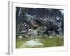 A Suchomimus Snags a Shark from a Lush Estuary-Stocktrek Images-Framed Photographic Print