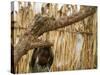 A Sudanese Girl Plays Inside a Thatched Hut at the Refugee Camp of Zamzam-null-Stretched Canvas