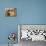 A Sudanese Girl Plays Inside a Thatched Hut at the Refugee Camp of Zamzam-null-Photographic Print displayed on a wall